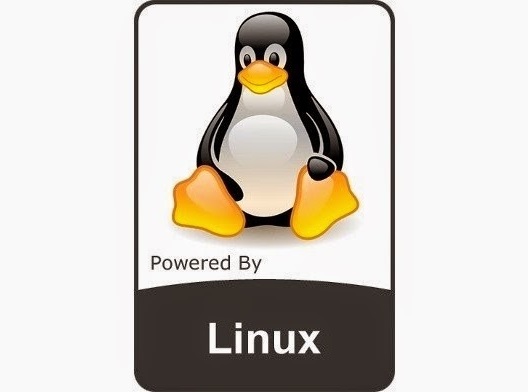 Linux Kernel 5.10改進EXT4文件系統:隨機覆蓋性能提升10倍