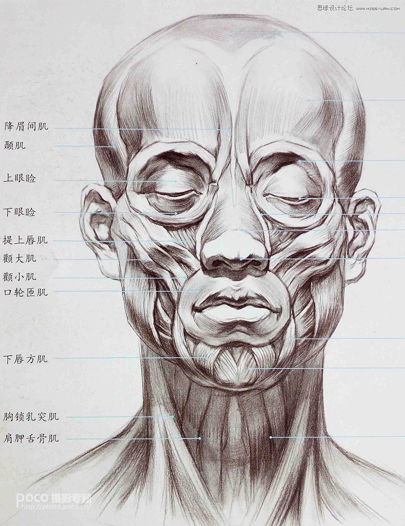 教你用ps如何加強臉部結構打造立體感人像
