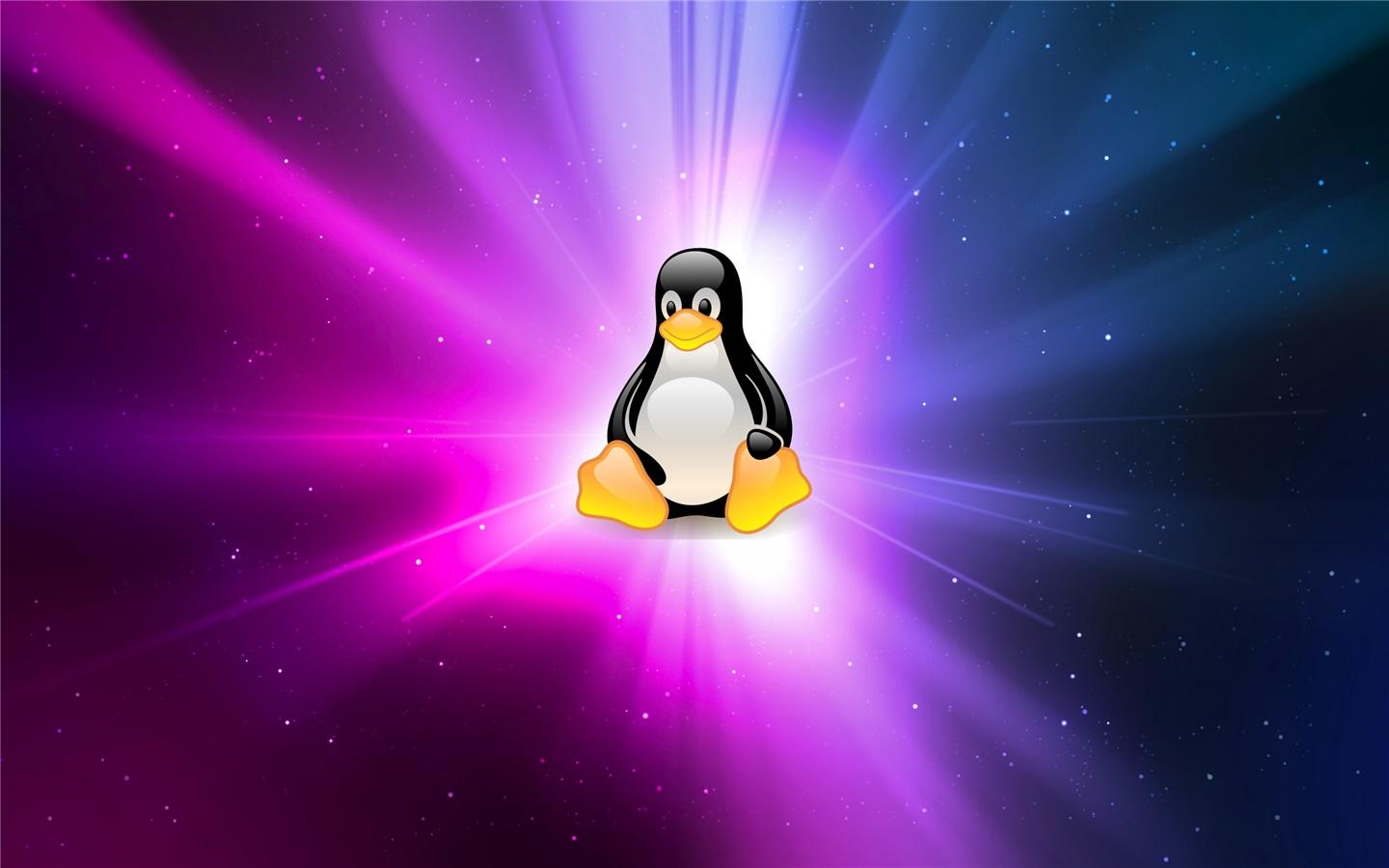 Ubuntu 系統(tǒng)內(nèi)核發(fā)現(xiàn)拒絕服務(wù)或執(zhí)行任意代碼漏洞，需盡快升級