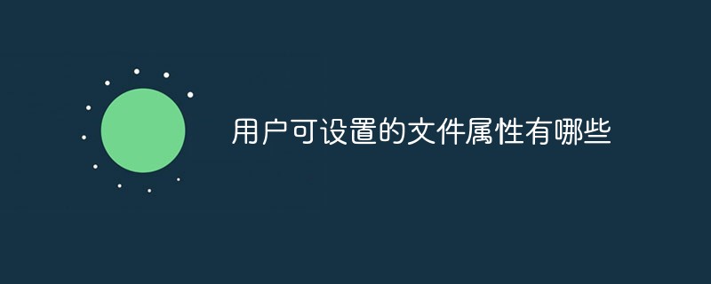用戶可設(shè)置的文件屬性有哪些