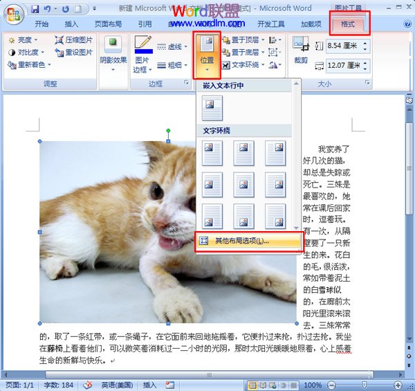 word綁定圖片和文字 在word2007中如何將圖片和文字綁定