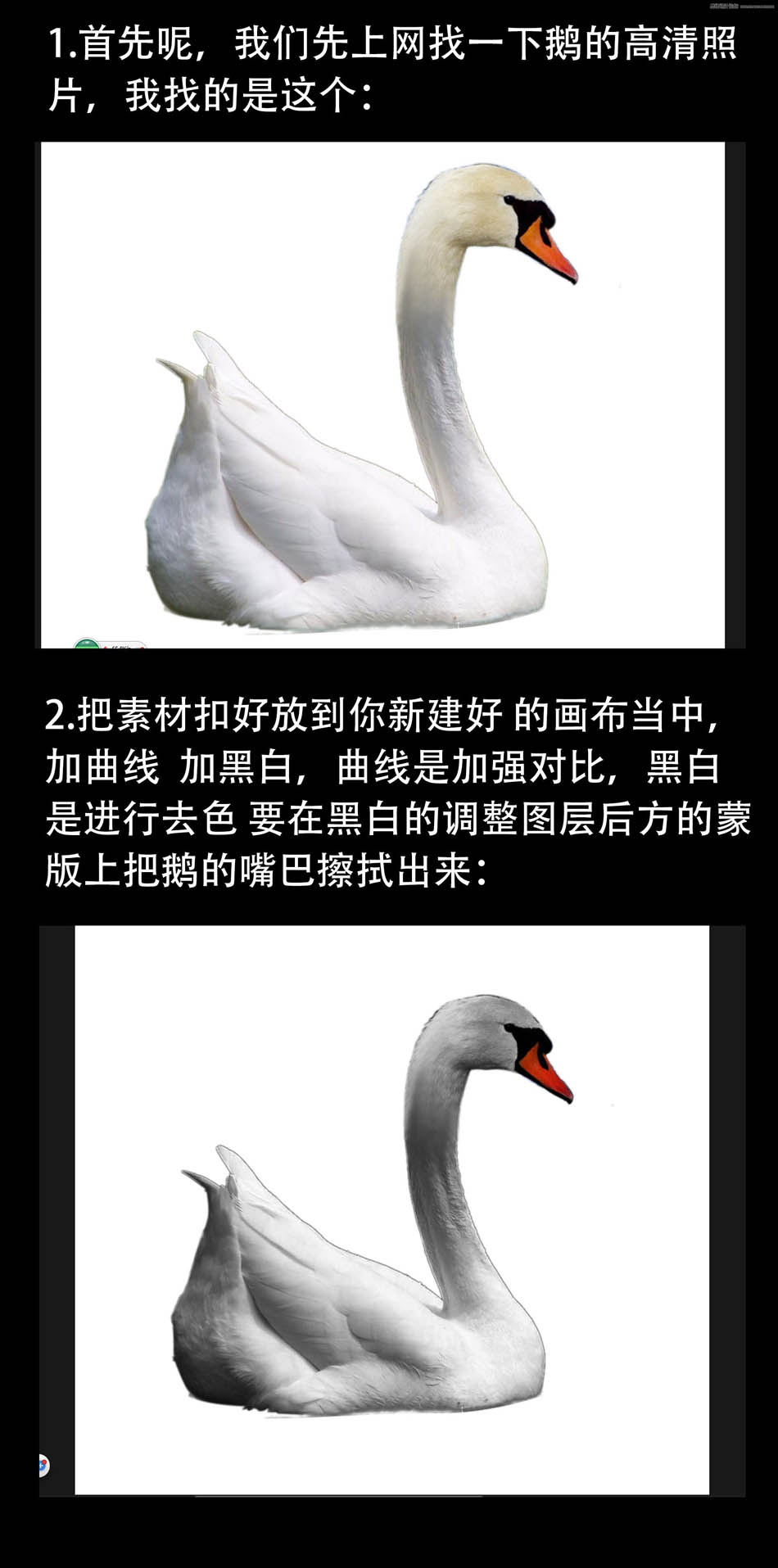 ps設計超酷的黑天鵝海報