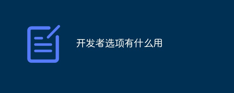 開發者選項有什么用