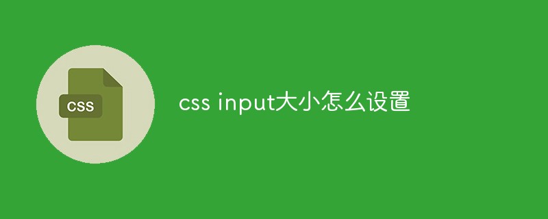 css input大小怎么設置