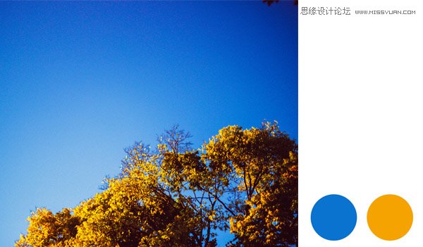 PS巧用照片配色方案創建色板教程