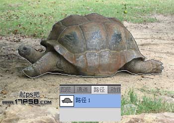 PS打造公益性質的生態保護海報