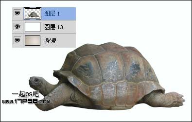 PS打造公益性質的生態保護海報