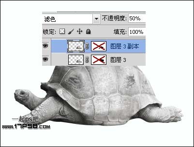 PS打造公益性質的生態保護海報