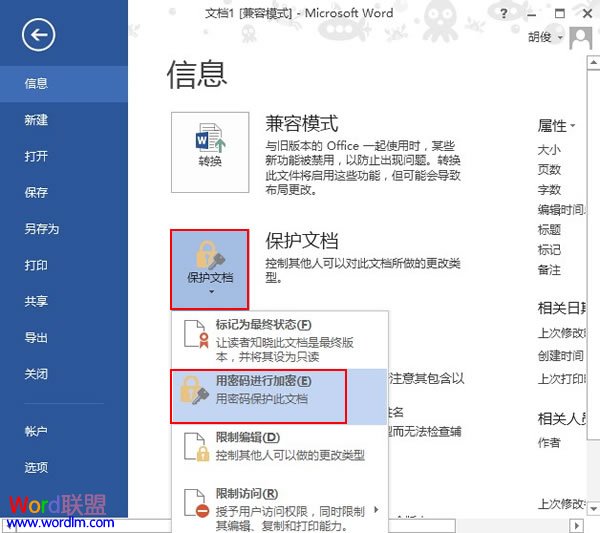 Word文檔加密 Word2013中文檔加密的兩種方法介紹