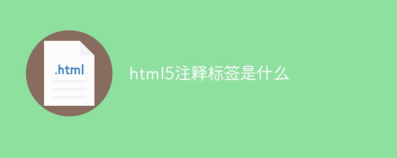 html5注釋標簽是什么