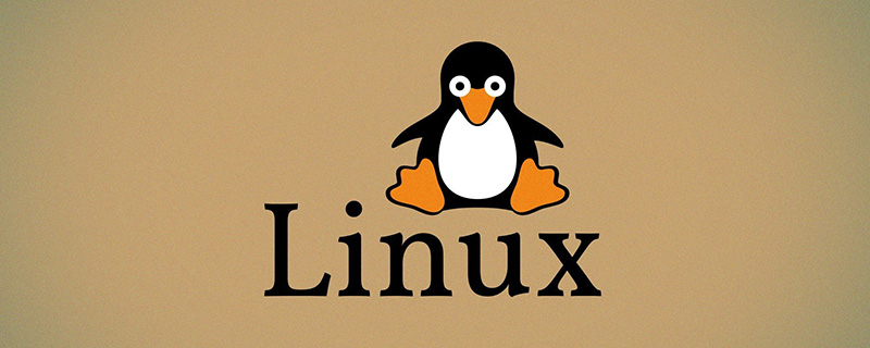 Linux環境變量配置的6種方法，建議收藏！