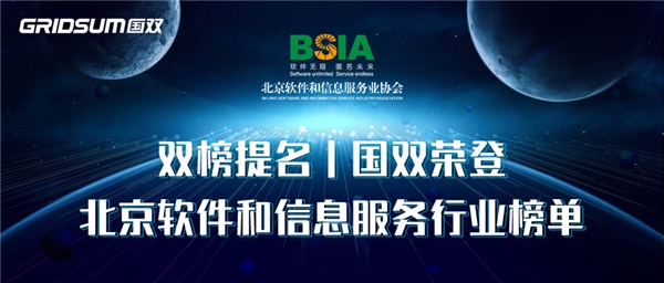 新年捷報,雙榜題名 | 國雙榮登2021北京軟件和信息服務業年度榜單