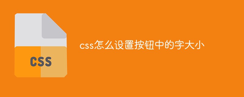 css怎么設置按鈕中的字大小