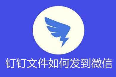 釘釘文件如何發到微信 釘釘文件怎么傳到微信