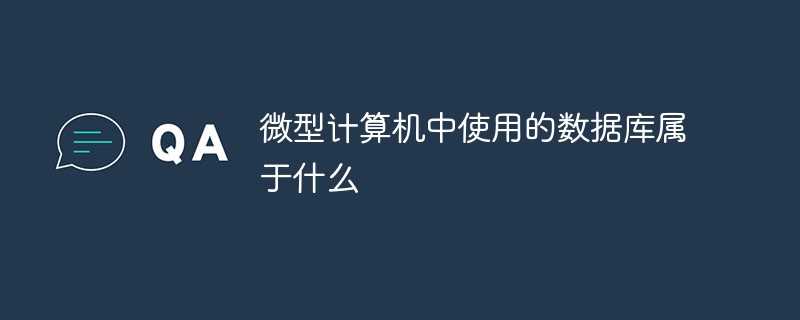 微型計(jì)算機(jī)中使用的數(shù)據(jù)庫屬于什么