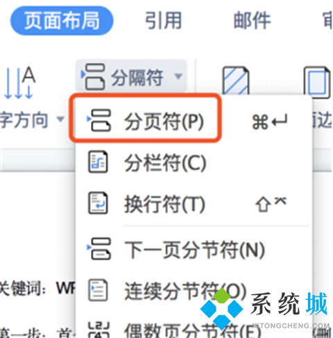 wps怎么單獨刪除一頁 wps如何刪除不要的頁面