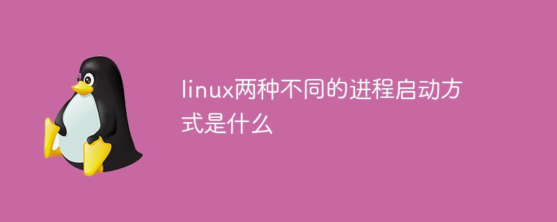linux兩種不同的進程啟動方式是什么
