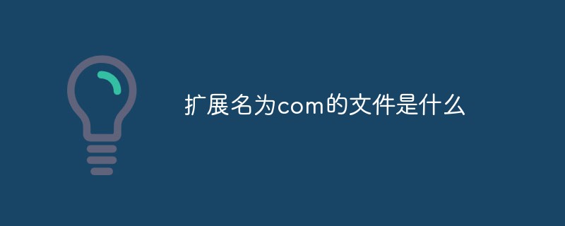 擴展名為com的文件是什么