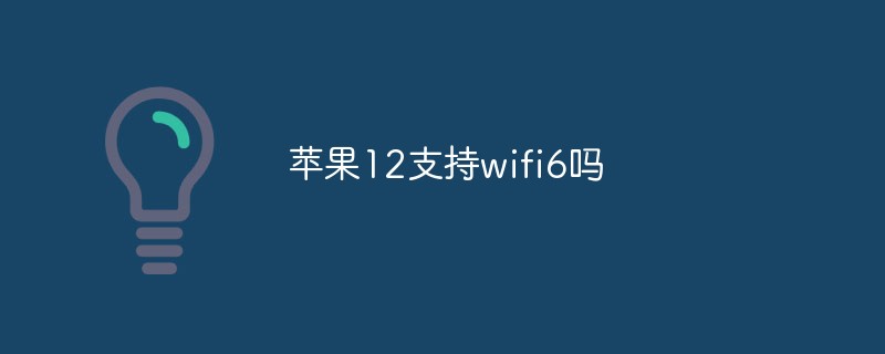 蘋(píng)果12支持wifi6嗎
