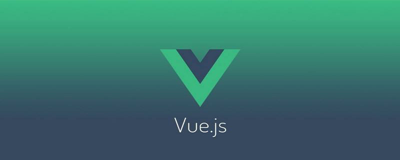 vue的options選項是什么