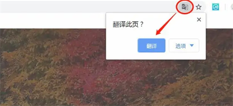 谷歌瀏覽器翻譯在哪 谷歌瀏覽器翻譯網頁功能在哪里設置