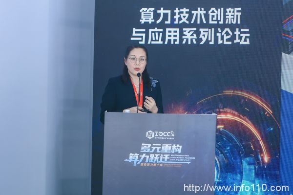 匯聚產業 共話創新實踐丨IDCC2024算力技術創新與應用系列論壇圓滿召開